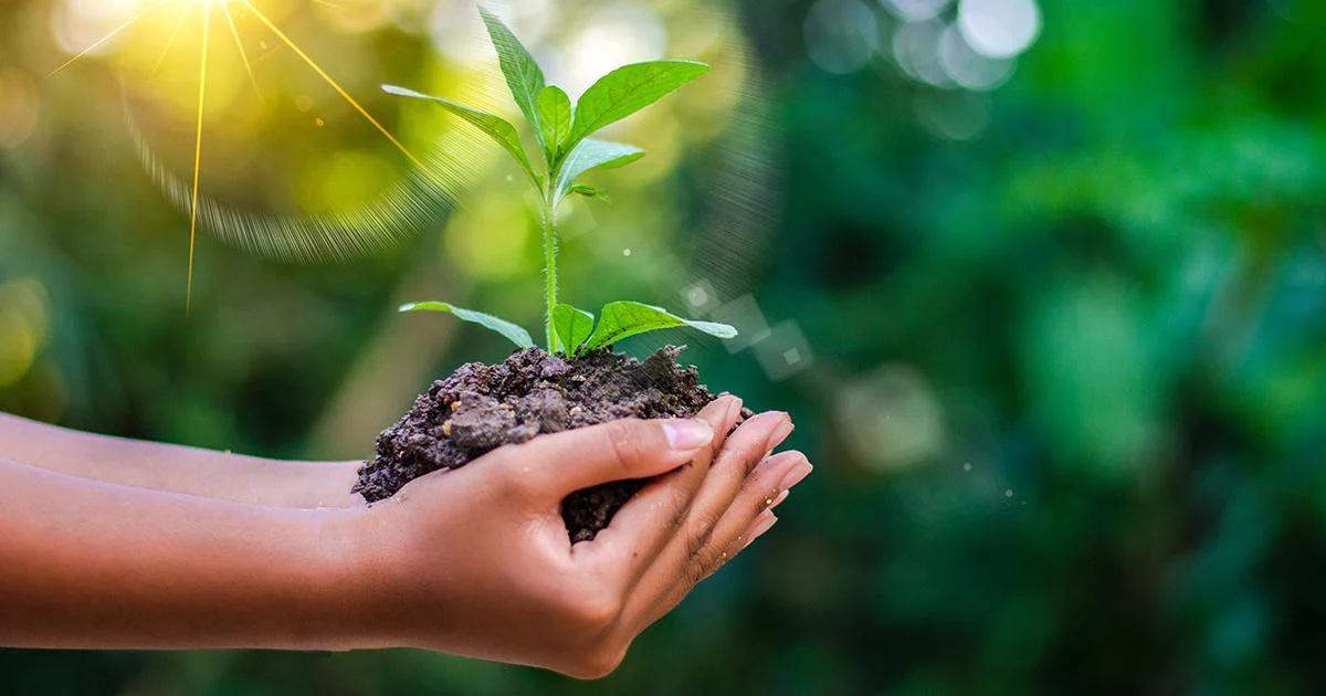 Itaú BBA e Mosaic se unem para impulsionar práticas sustentáveis de alta performance na agricultura