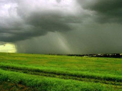 Bons volumes de chuva são previstos para fevereiro no Mato Grosso
