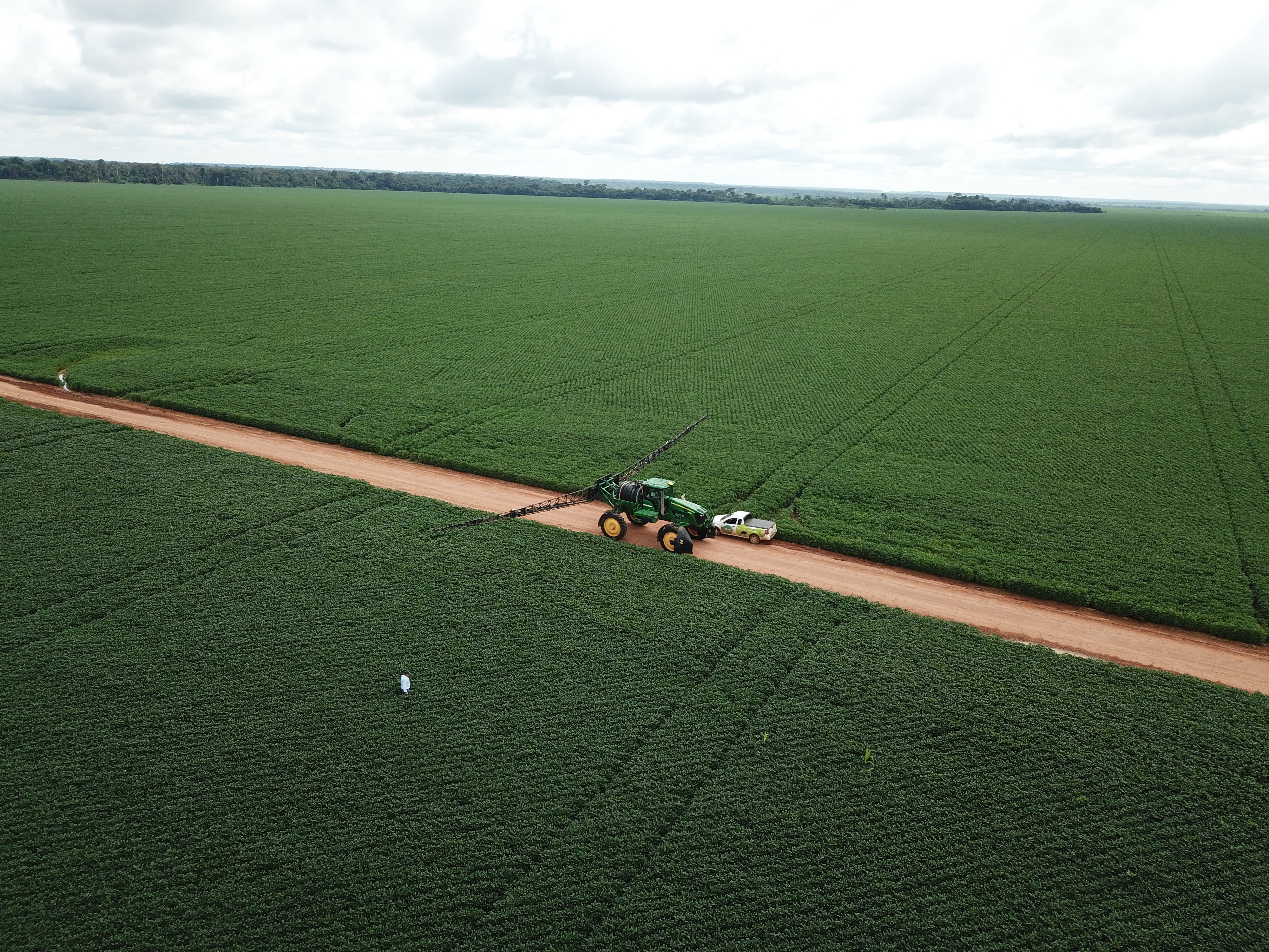 Atenção à inoculação e nutrientes no sulco de plantio