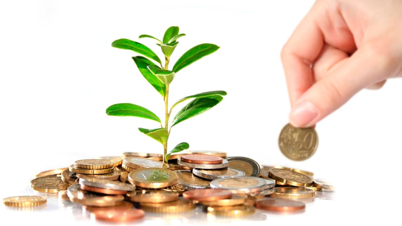 Resultado de imagem para Cooperativas agropecuÃ¡rias gaÃºchas vÃ£o Ã  BrasÃ­lia pedir definiÃ§Ã£o para crÃ©dito rural