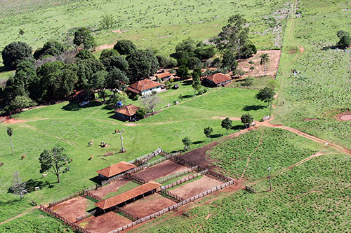 Invasão de terra no MT 14