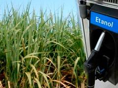 Bioenergia ganha força com E32 e impulsiona expectativas para a Fenasucro & Agrocana 2026