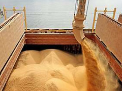Anec prevê alta de 760 mil toneladas na exportação de soja do Brasil em setembro