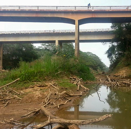 Drama da Seca no Brasil 6 - Foto: G1