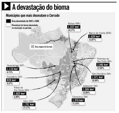desmatamento 1