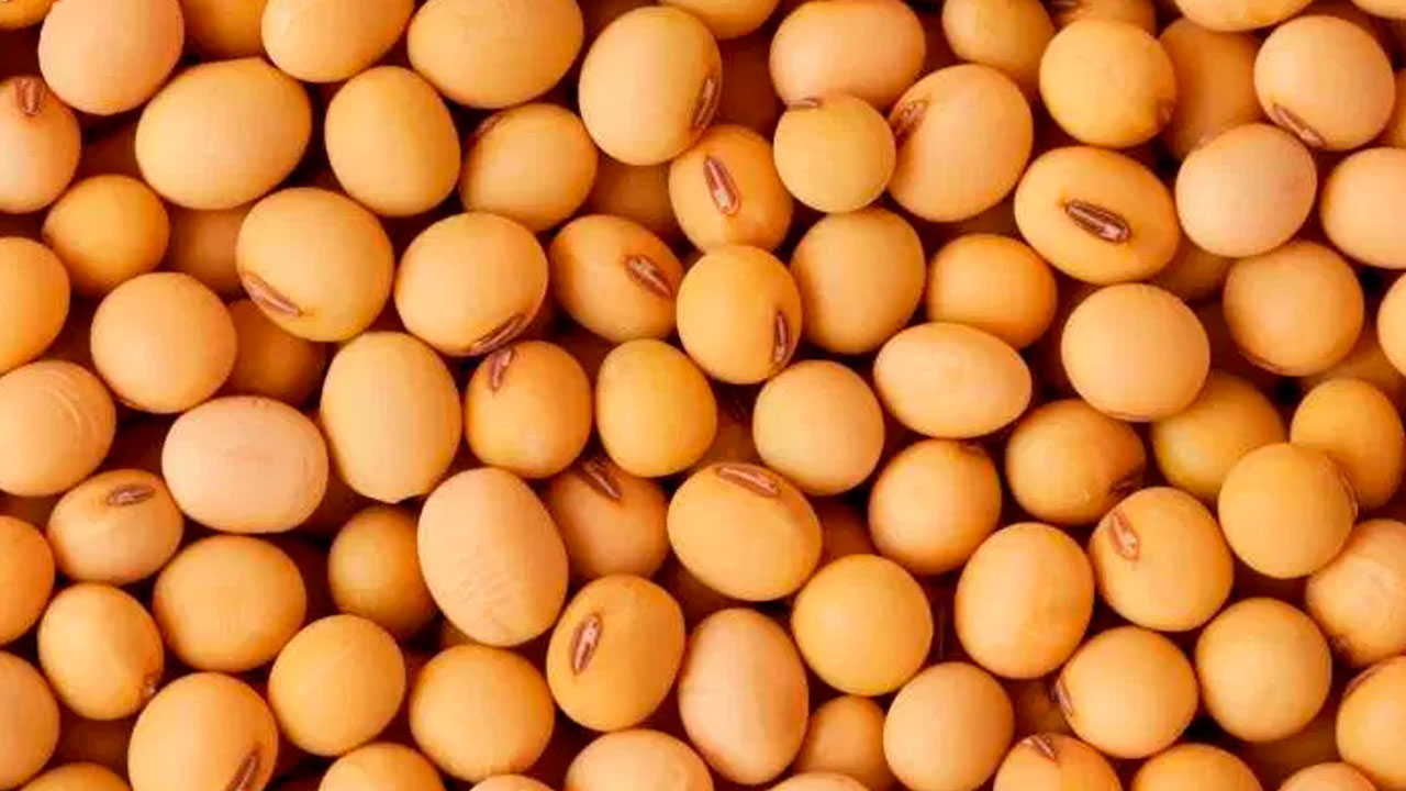 Soybean Dollar rise brings maintenance of prices in the ports of BR