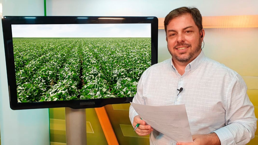 Aleksander estudio lavoura de soja