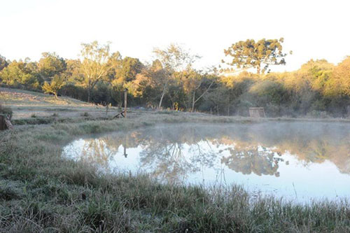 Neve em Passo Fundo - Foto Zero Hora