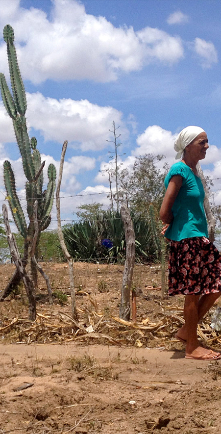 Drama da Seca no Brasil 3 - Foto: G1