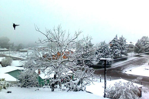 Neve no sul - 27/08 - Cambará do Sul