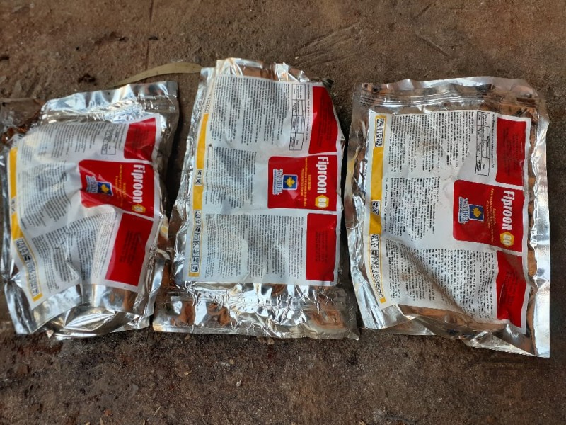 Apreensão de sementes piratas no RS - Seapdr