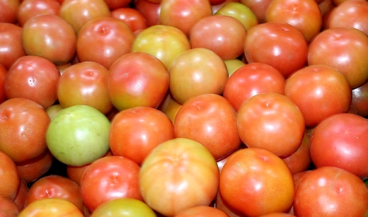 Tomate/Cepea: Preços no atacado paulistano fecham semana em alta