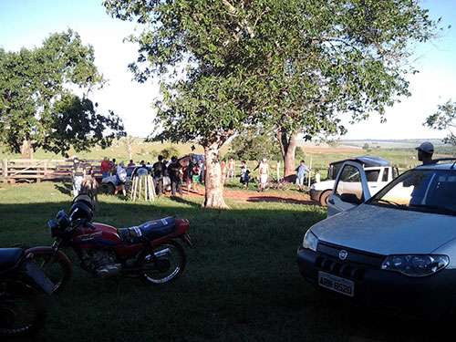 Invasão de terra no MT 6