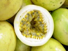 IAC desenvolve cultivares de maracujá para indústria em várias regiões