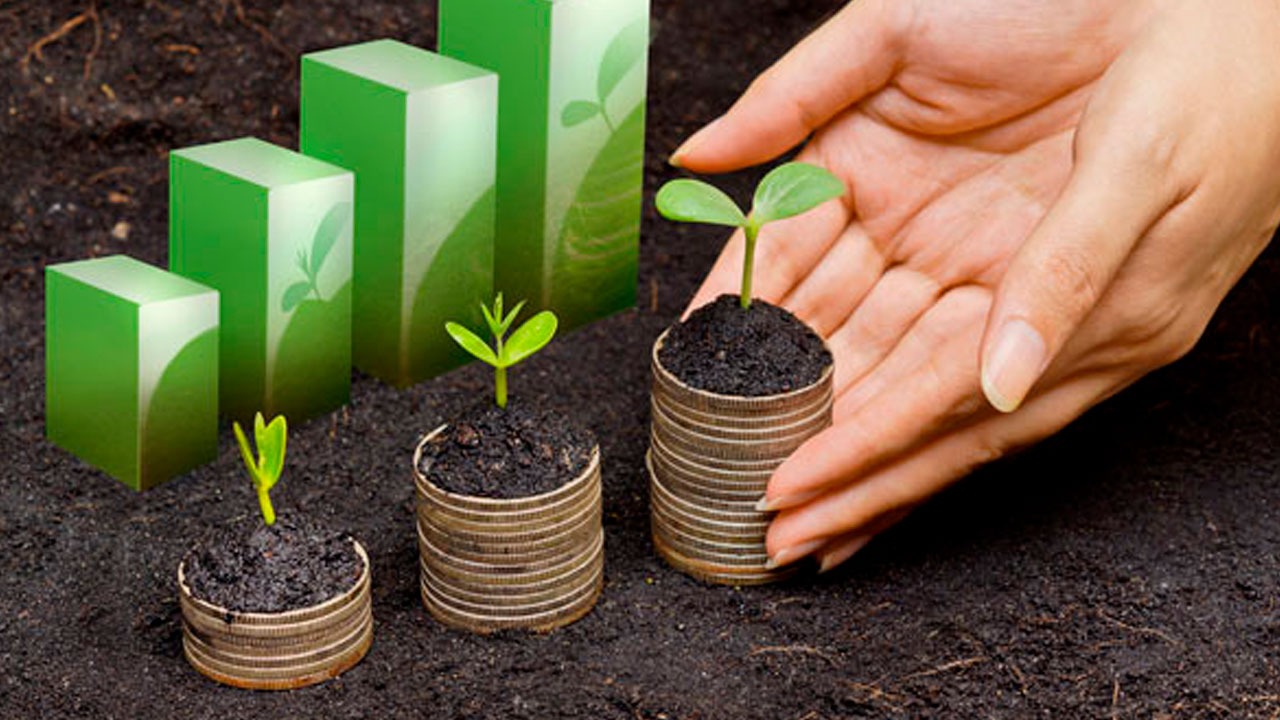 Após atuação do Sistema FAEP, CMN prorroga prazo da restrição no crédito por regra ambiental