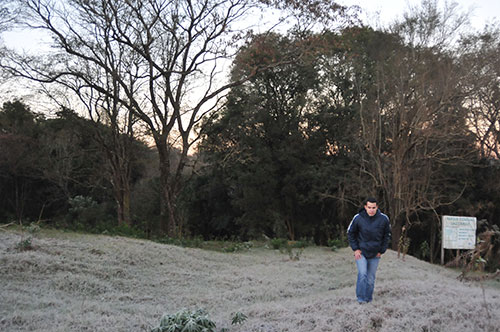 Geada em Palotina/PR - Foto Almir Trevisan