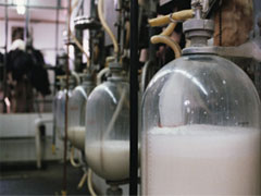 Sindilat defende mobilização do setor para garantir aprovação do PL do leite