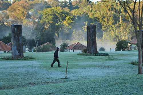 Geada em Palotina/PR - Foto Almir Trevisan 5