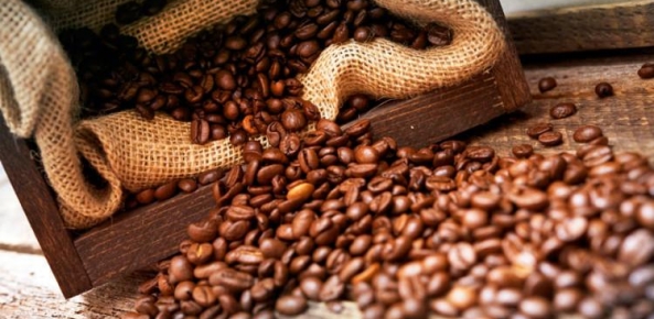 CafÃ©/Cepea: indicador volta a superar R$ 600,00/sc, mas liquidez segue baixa  - NotÃ­cias AgrÃ­colas