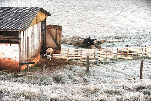 Geada em Chapecó - Foto UOL