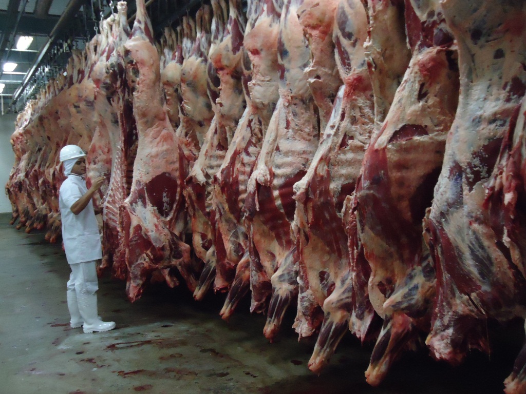 Lançado na Expointer fundo para desenvolvimento da cadeia da carne gaúcha