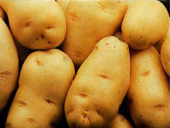 Batata especial tipo ágata dispara 46% em São Paulo