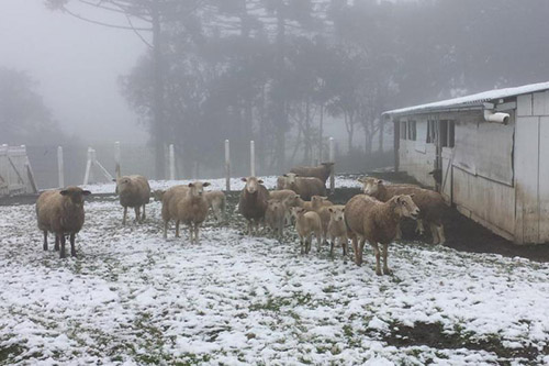 Neve no sul - 27/08 - Paraí