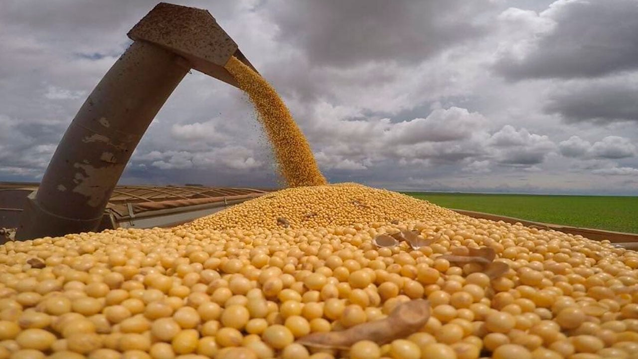 Safra de soja do Brasil em 2026 deve avançar 3,9%, enquanto exportação cresce menos, diz Abiove