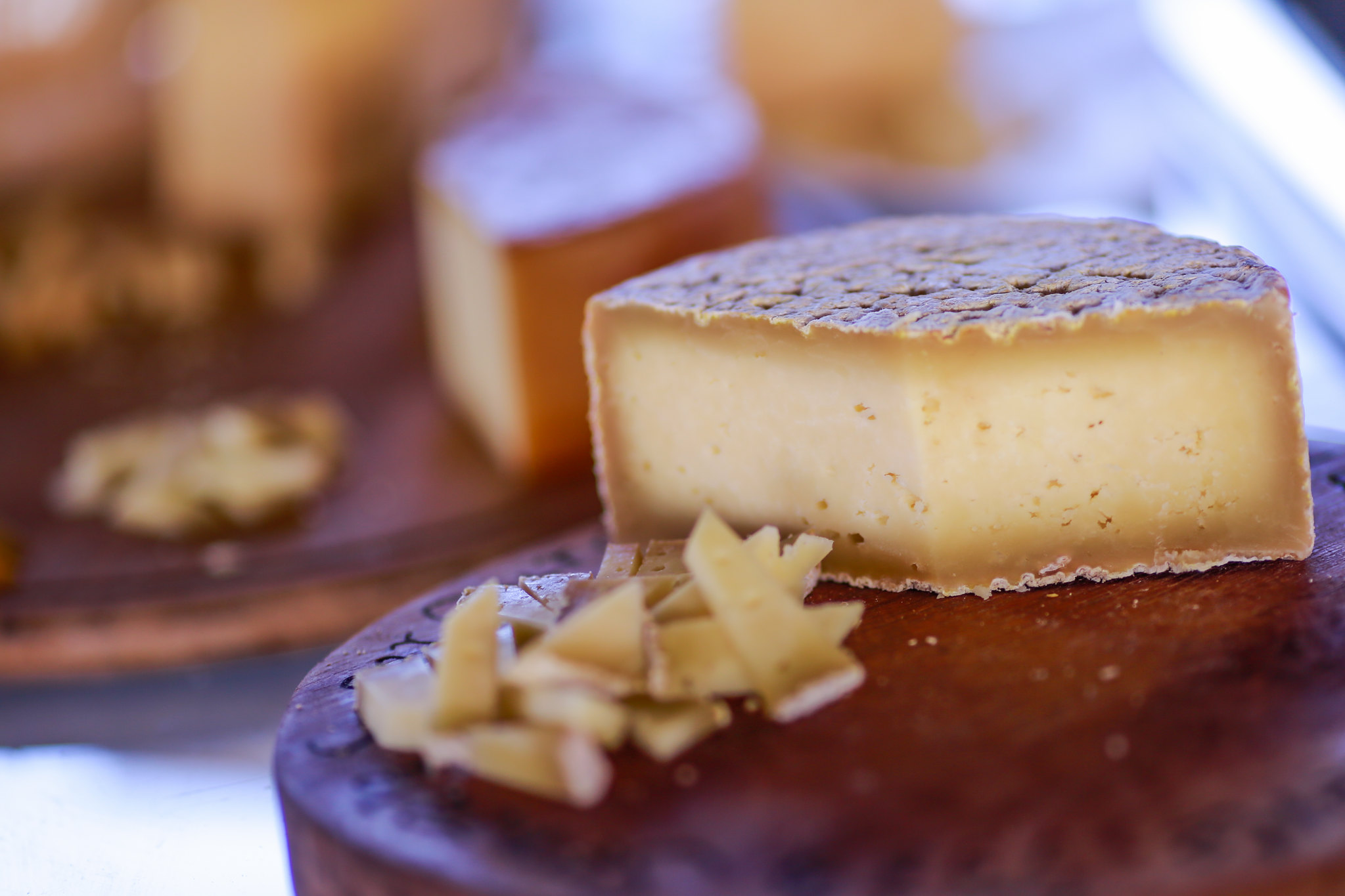 Alceu Moreira lança manual com instruções para que produtores obtenham o Selo Queijo Artesanal