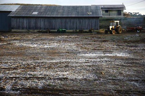 Neve em São José dos Ausentes 3 - Foto Zero Hora