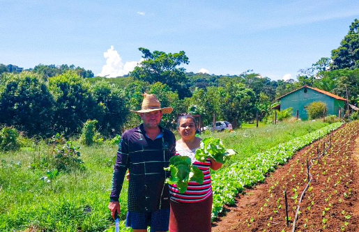 Retrospectiva 2024: Emater impulsiona negócios de 844 famílias com o Fomento Rural em Goiás
