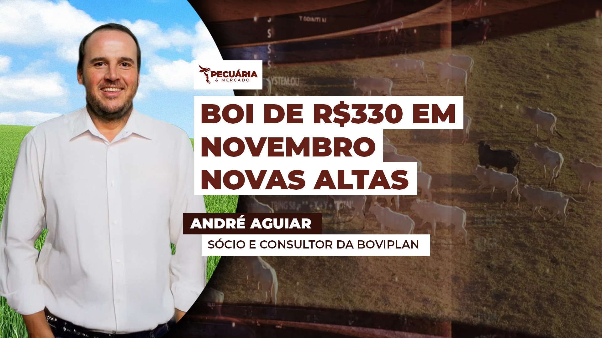 Valorização da arroba já começou e movimento de alta tende a ser mais rápido nos próximos 15 a 20 dias