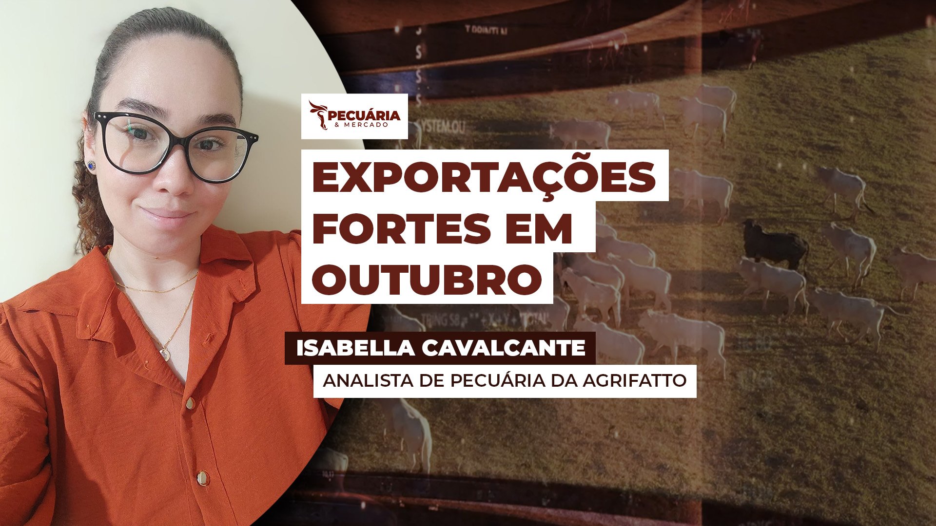Exportações de carne bovina seguem forte em outubro com China liderando compras e EUA entre os 10 maiores, apesar do tarifaço
