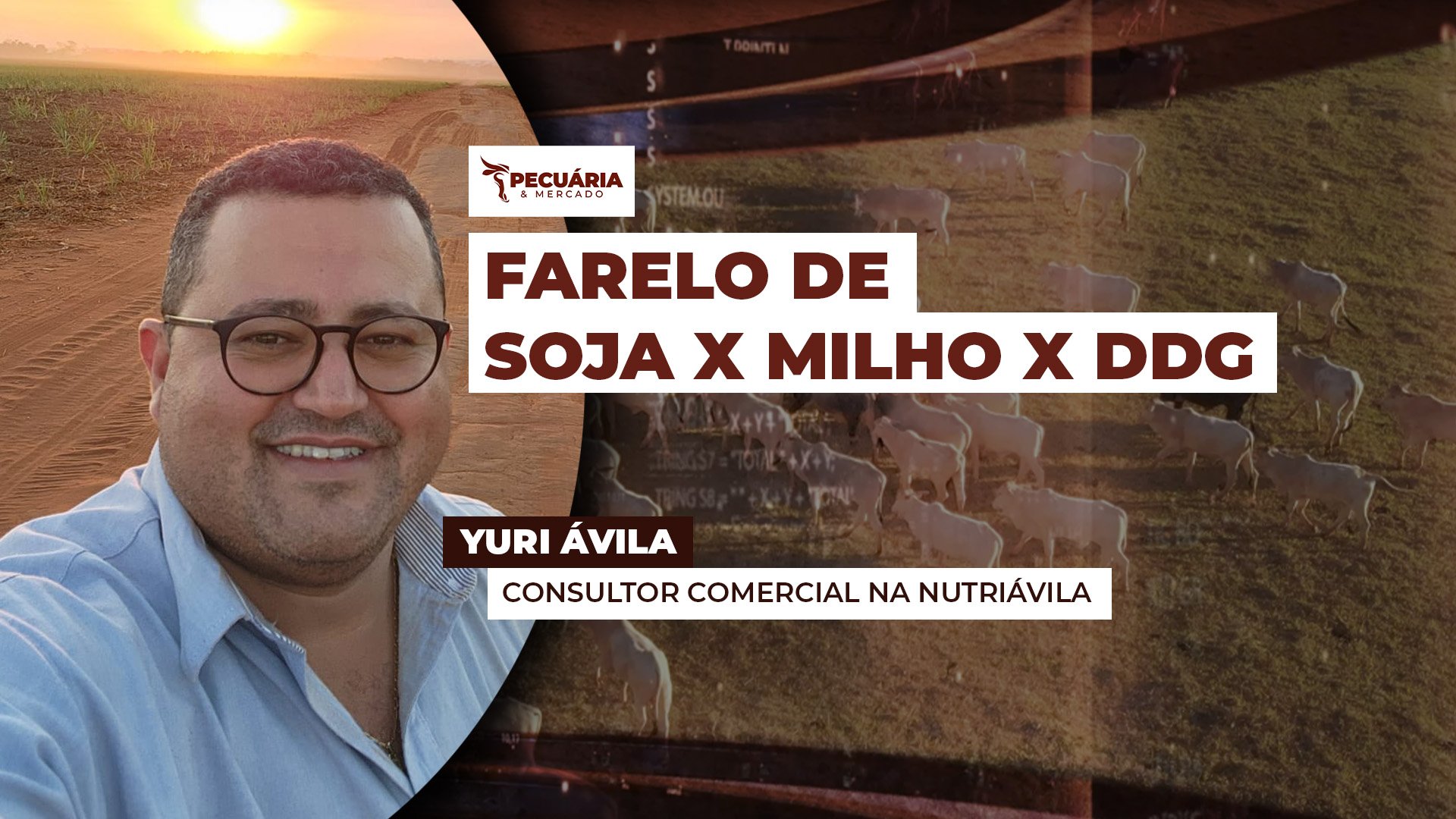 Como está o custo dos insumos e qual a melhor estratégia para garantir uma alimentação saudável e eficiente para o rebanho