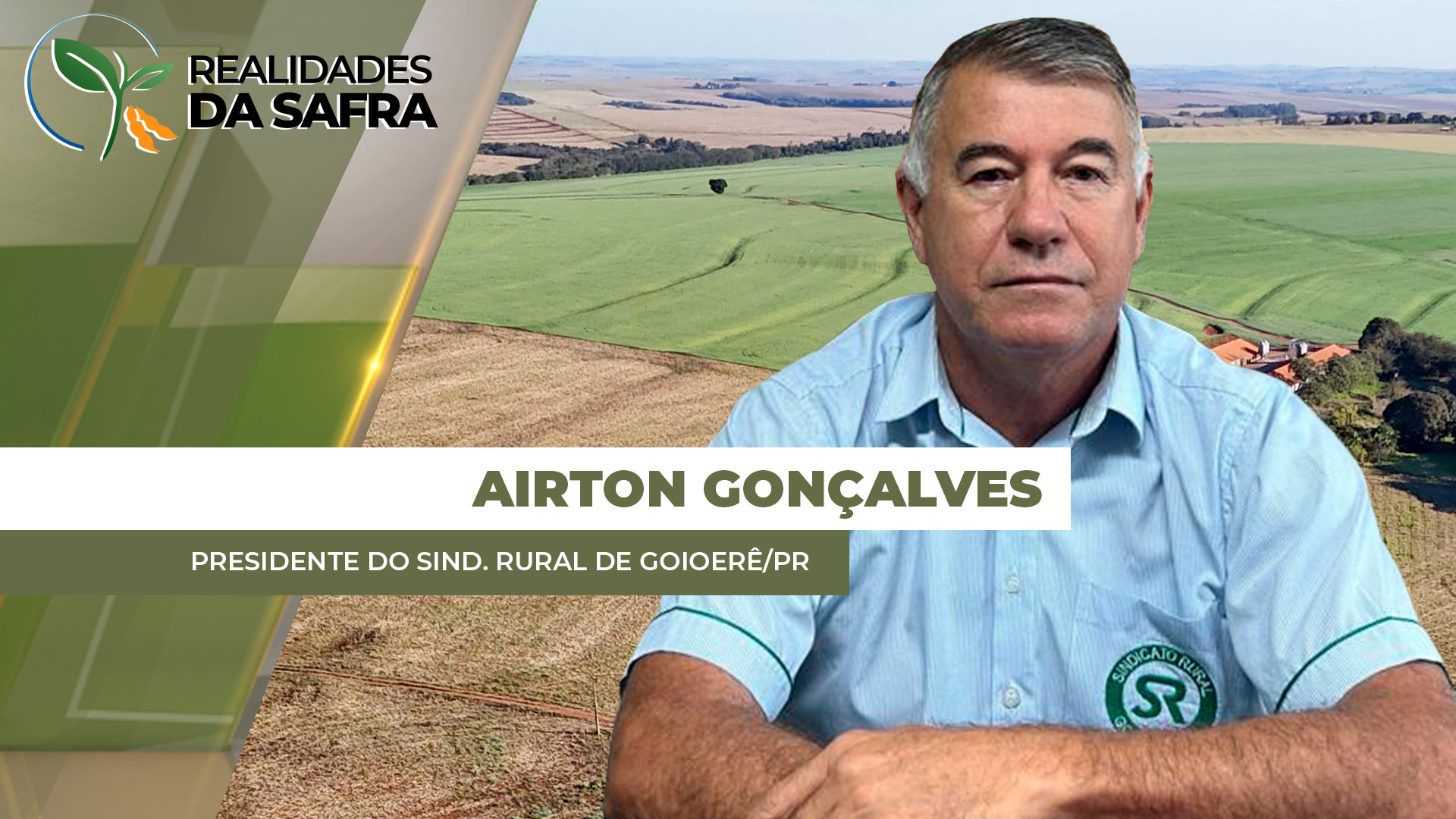 Falta de chuvas e altas temperaturas já trazem perdas de produtividade para o milho em Goioerê/PR