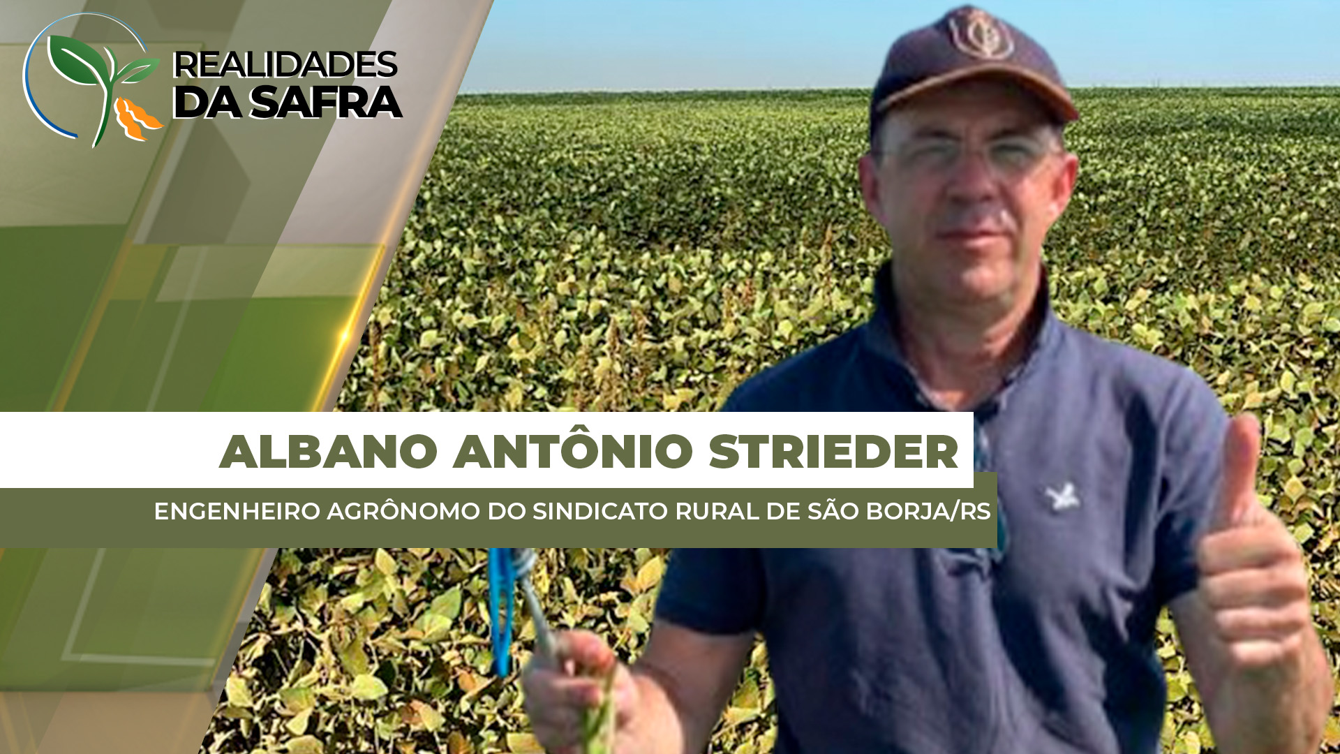 Lavouras de soja em São Borja/RS começam a apresentar sinais de déficit hídrico