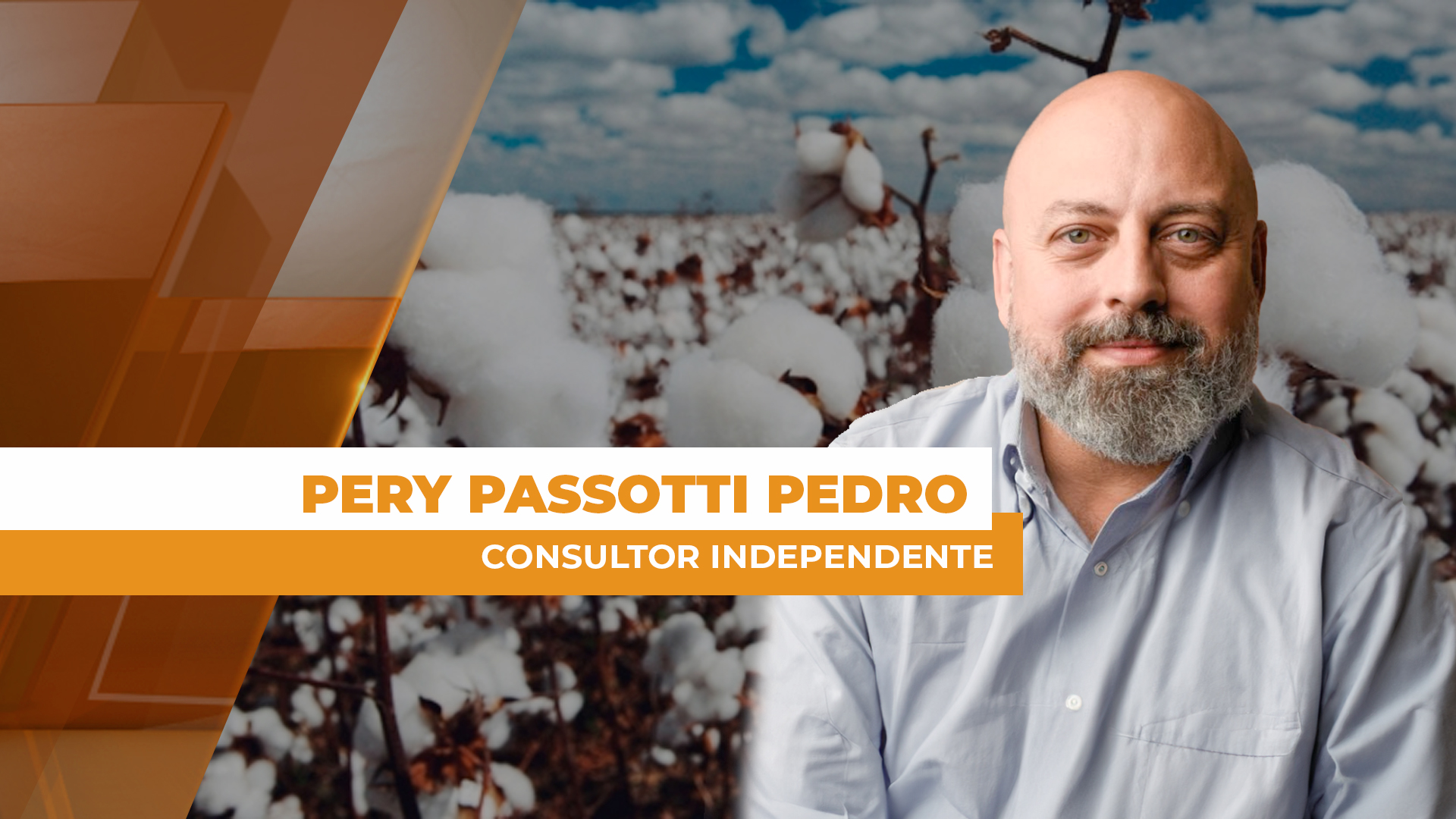 Algodão com expectativas para recorde de exportação e safra