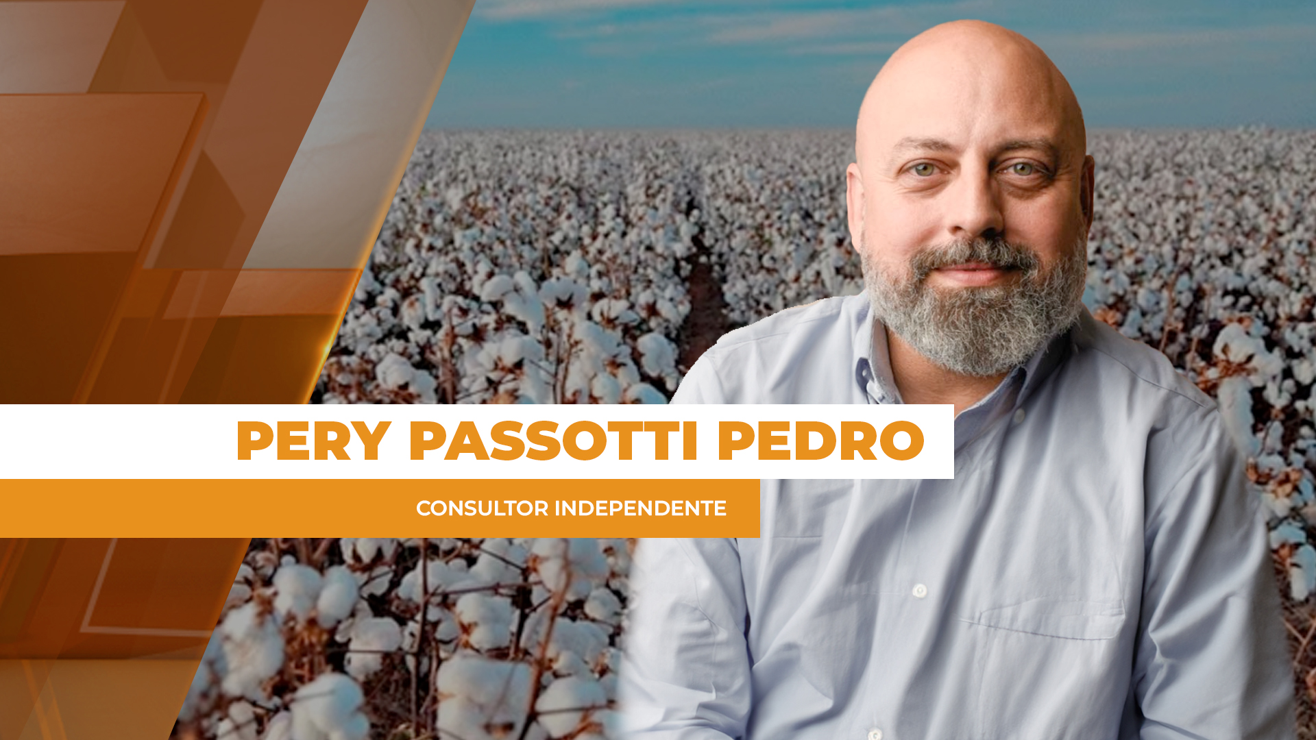 Após 2 anos de pouca volatilidade, mercado do algodão trabalha com oscilações significativas nas cotações futuras