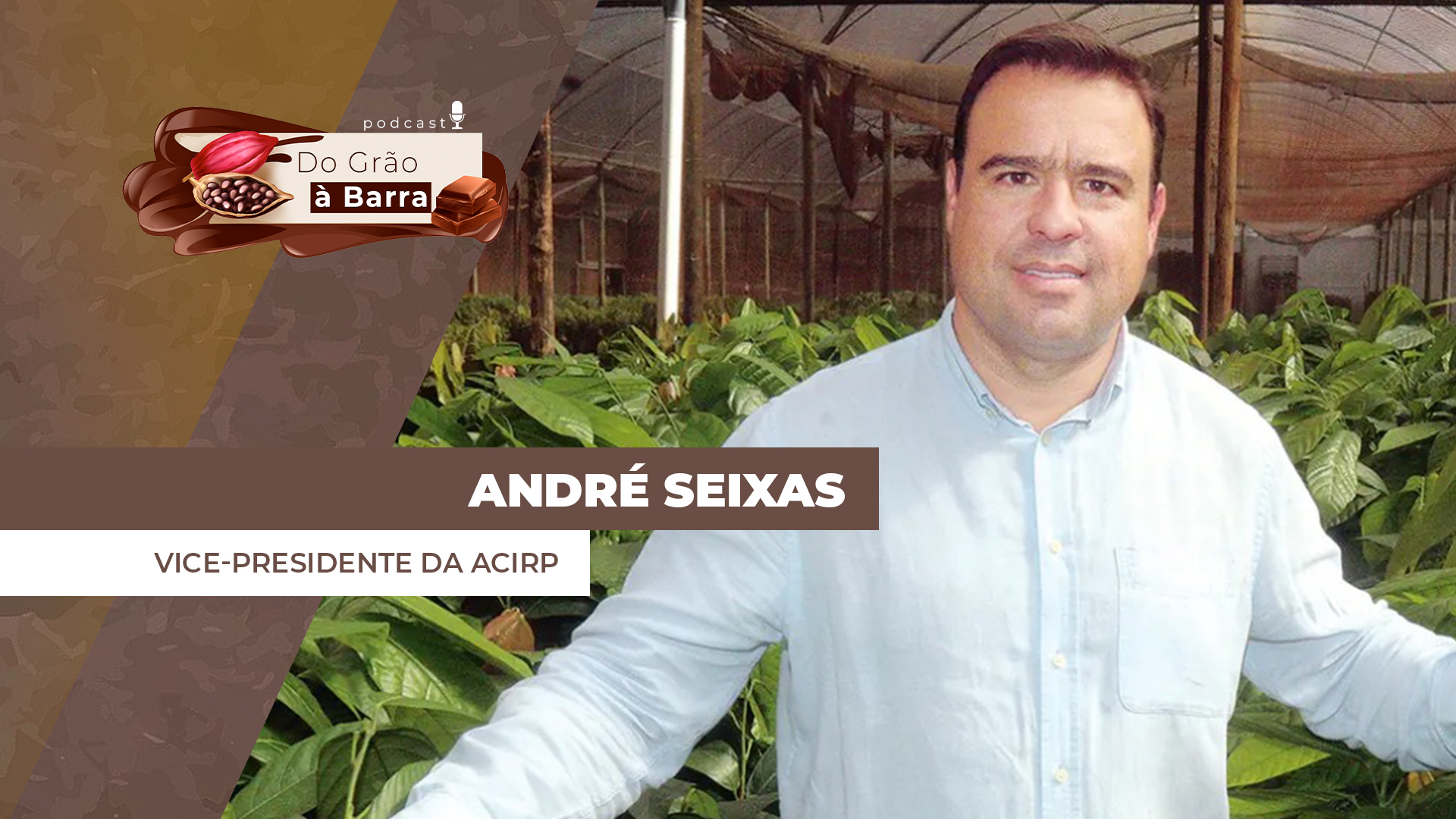 Do Grão à Barra -  Avanço do cacau em SP estimula evento em São José do Rio Preto / SP