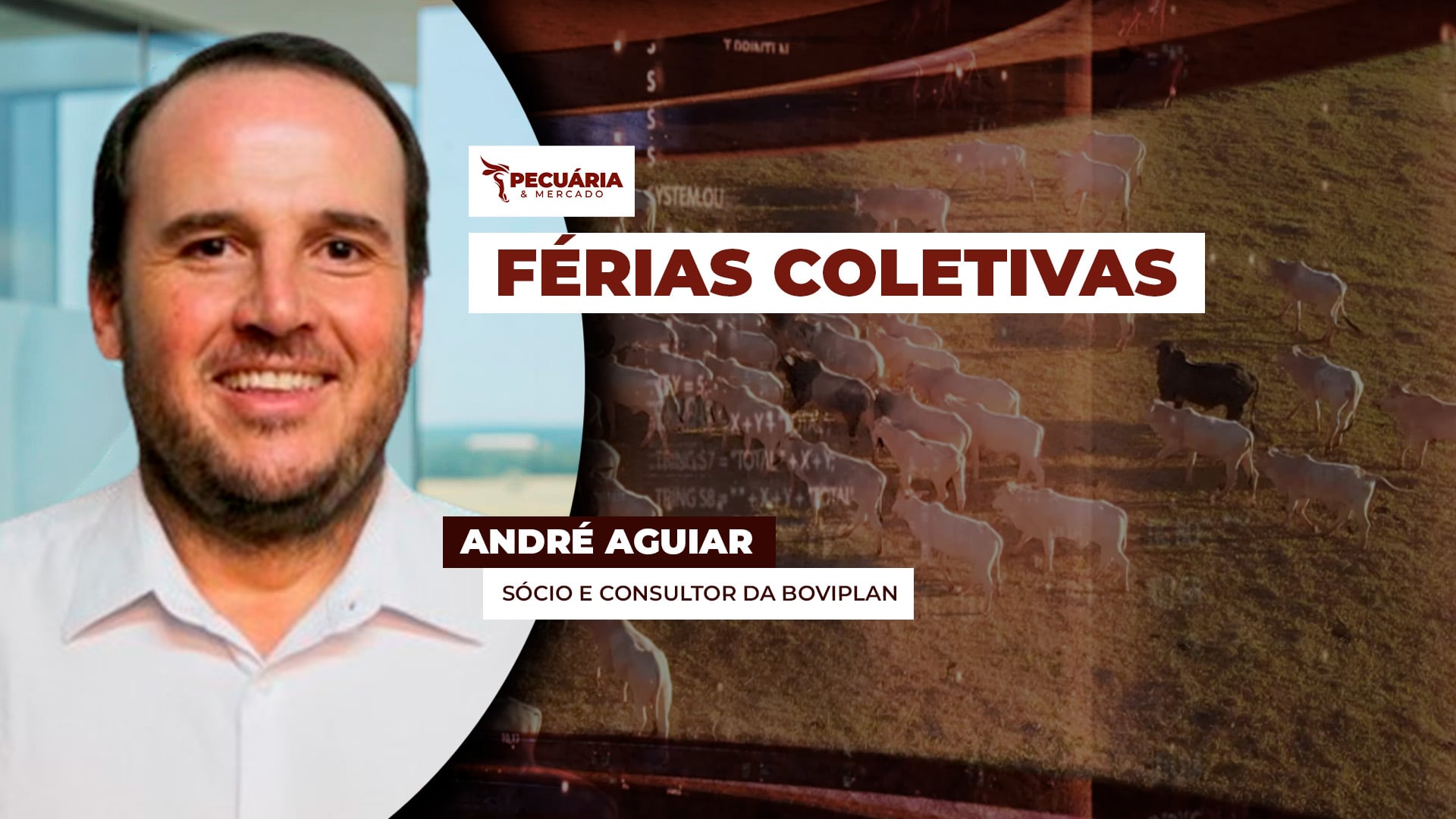 Frigoríficos usam férias coletivas para conter movimento de alta da arroba do boi