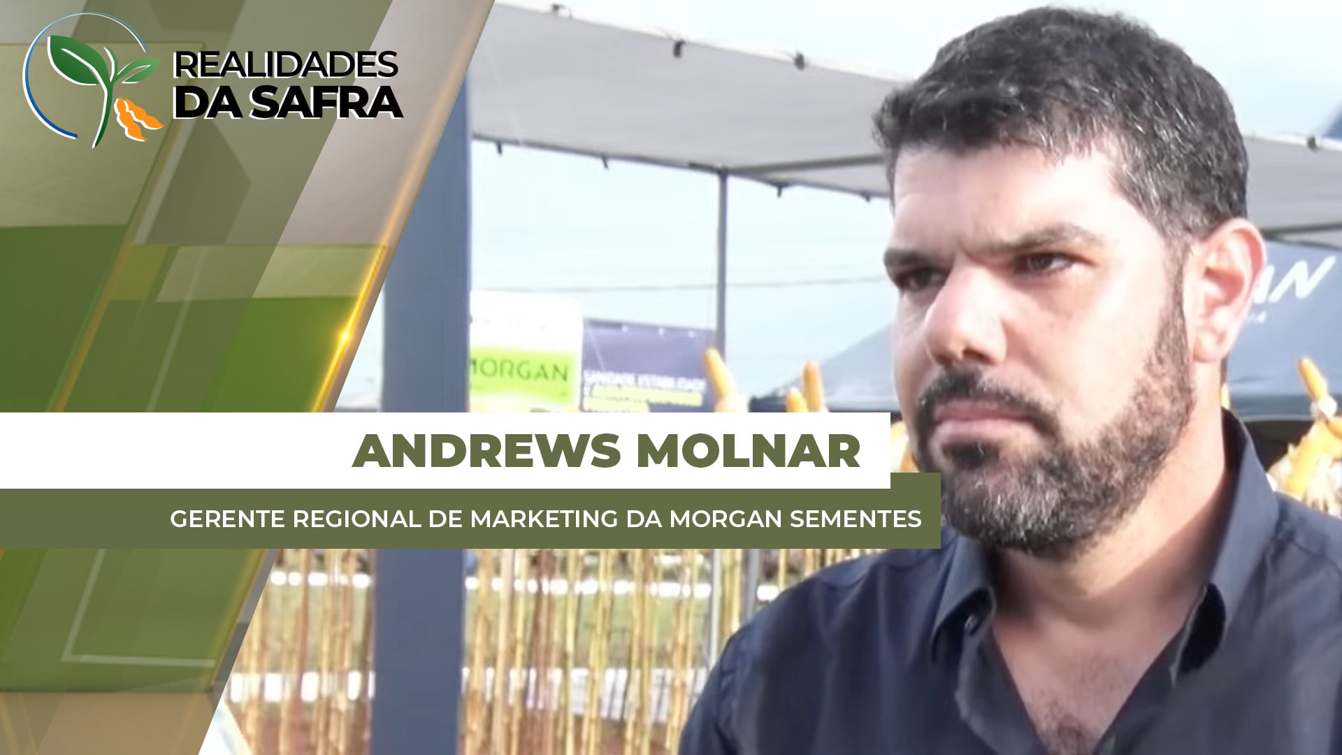 Campo Novo do Parecis/MT cultiva 17% do milho do MT, o que reforça necessidade de escolhas assertivas