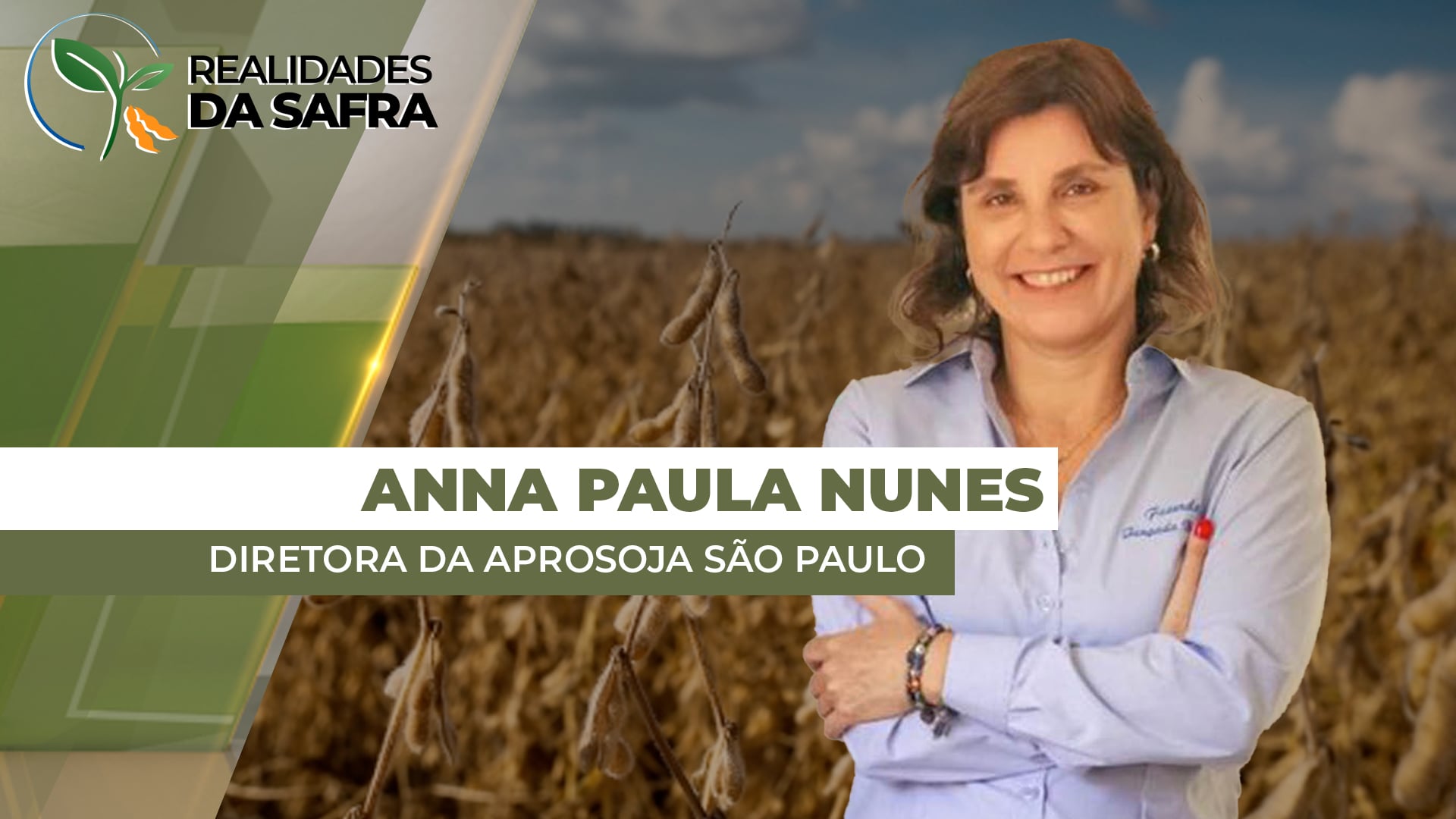 Irregularidade do clima está tirando potencial produtivo da soja em São Paulo