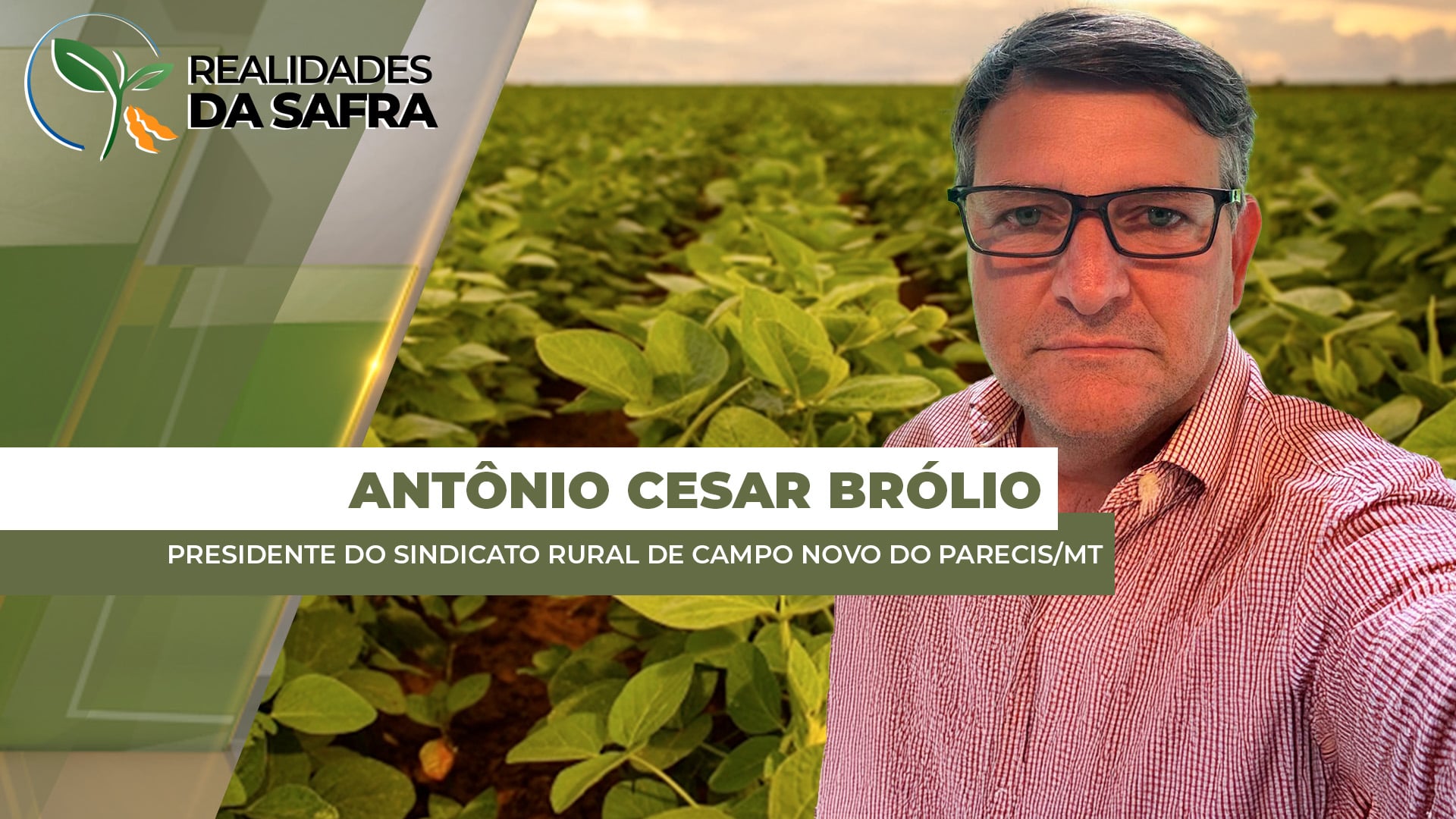 Com 20% da soja colhida, Campo Novo do Parecis/MT vem registrando boas produtividades