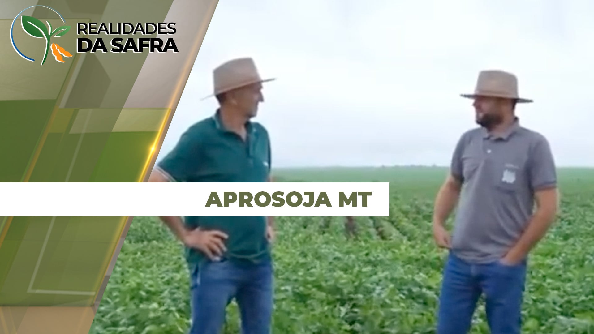 Aprosoja MT reporta atrasos e dificuldades de plantio da soja em Rondonópolis, Juscimeira e Campo Verde Aprosoja MT reporta atrasos e dificuldades de plantio da soja em Rondonópolis, Juscimeira e Campo Verde