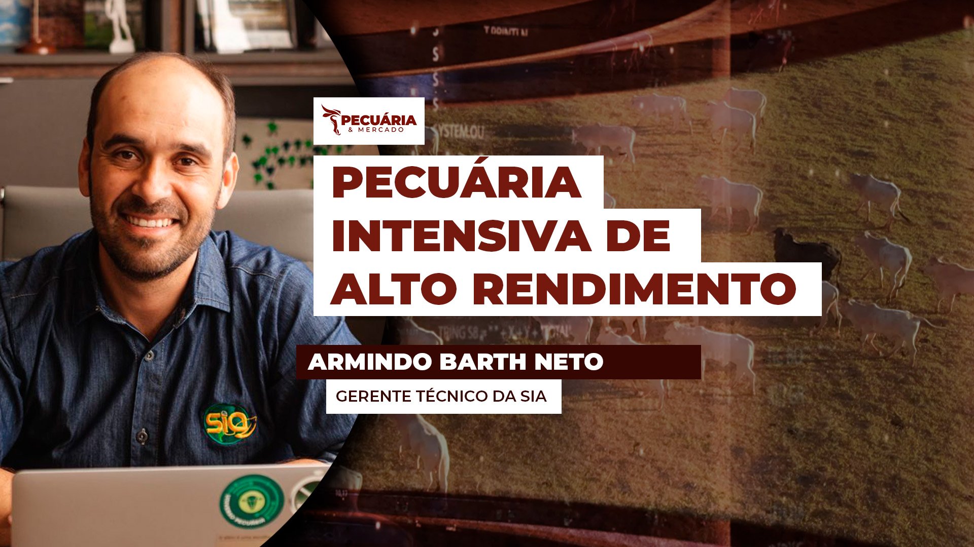 Conheça os sete pilares da produção em uma pecuária de alto rendimento