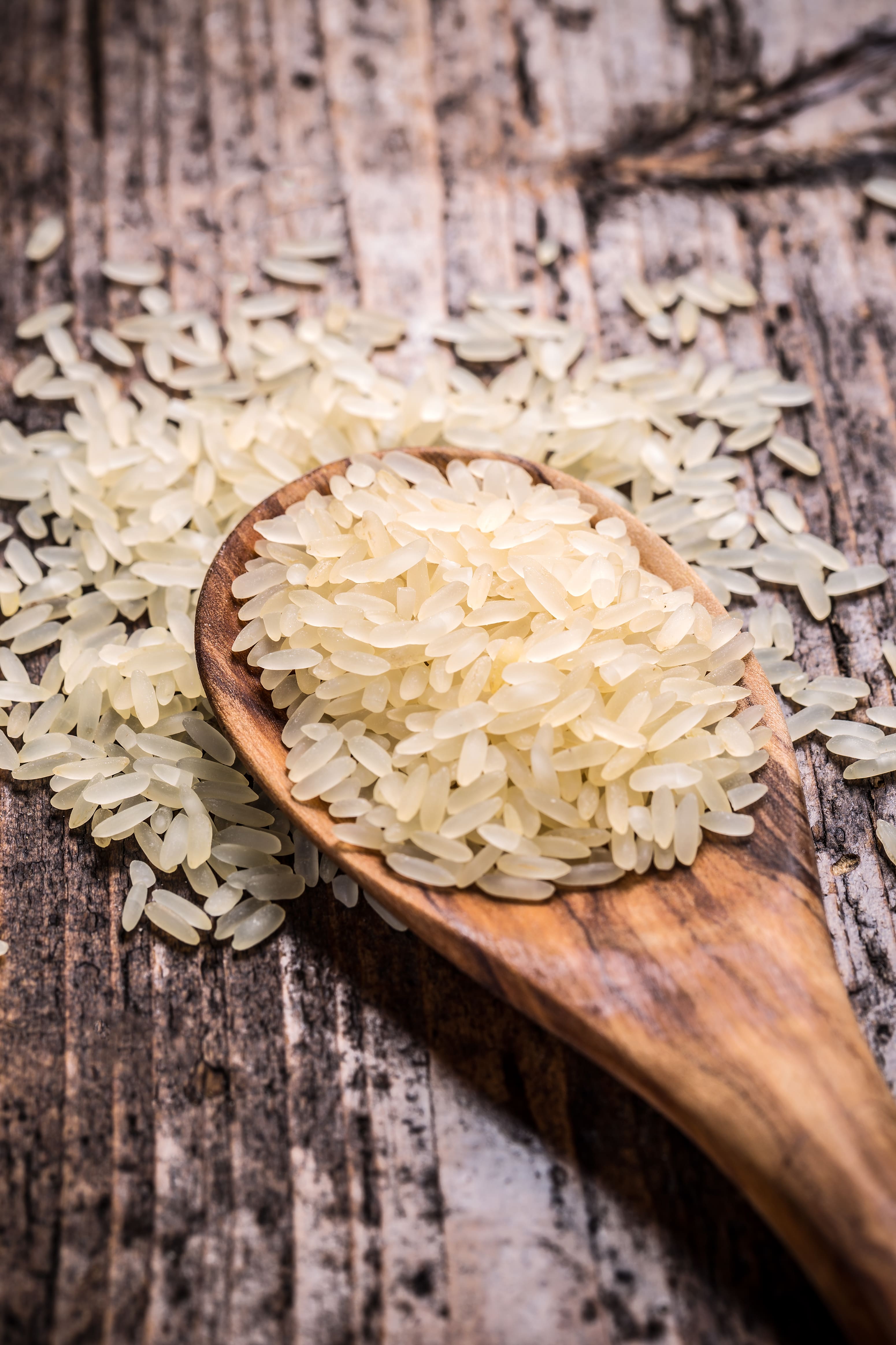 Governo Federal divulga subvenção de até R$ 70 milhões para equalização de preços do arroz da safra 2025/2026