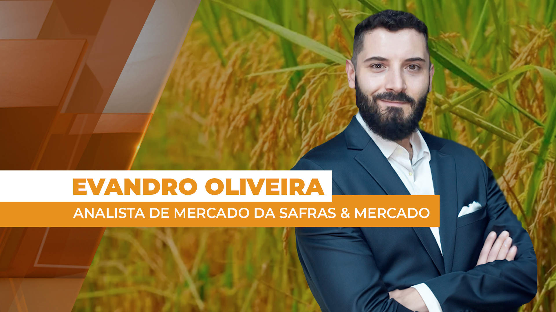 Plantio de arroz avança em meio a exportações em alta Plantio de arroz avança em meio a exportações em alta