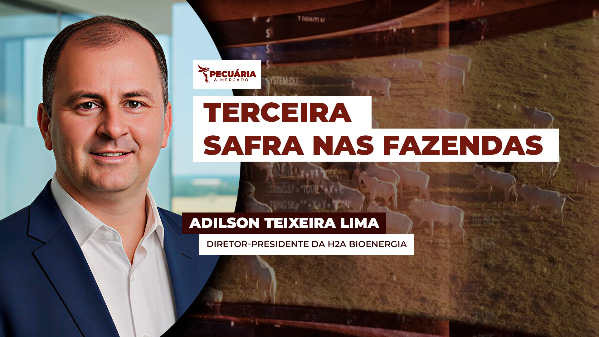 Como fazer uma terceira safra na fazenda com dejetos e resíduos orgânicos.