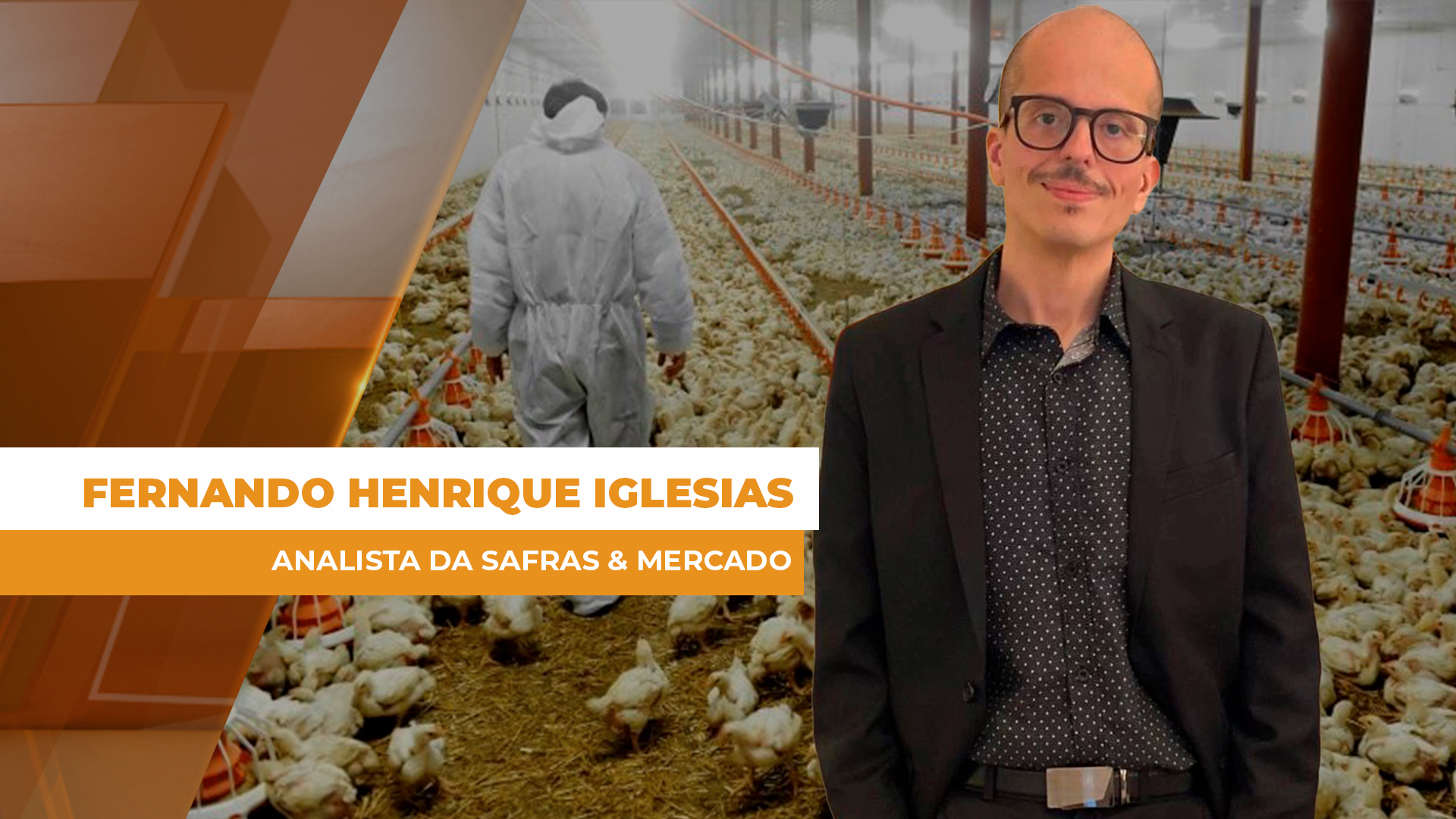 Avicultura mantém equilíbrio em 2025, mas já enfrenta novos desafios em 2026