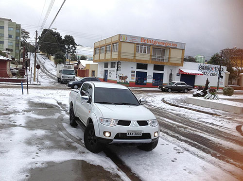 Geada Negra em Guarapuava/PR - Foto Betoagro